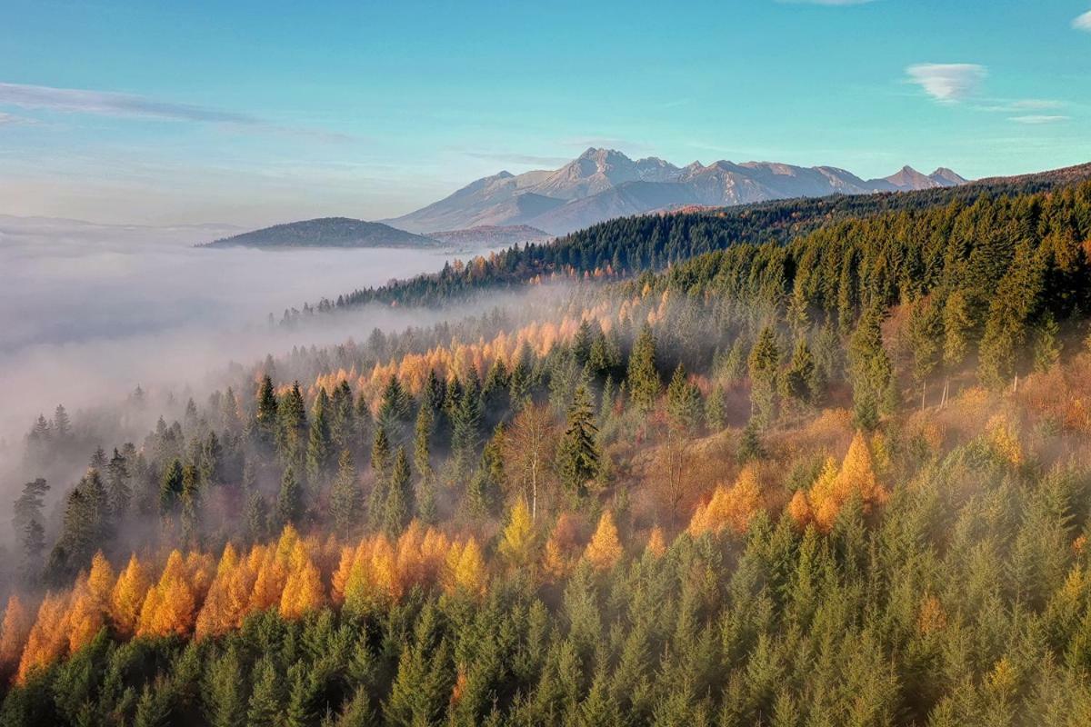 Penzion Pod Magurou Slovenska Ves Экстерьер фото